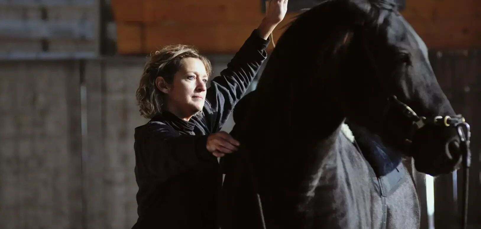 Cavesal® bitless bridle