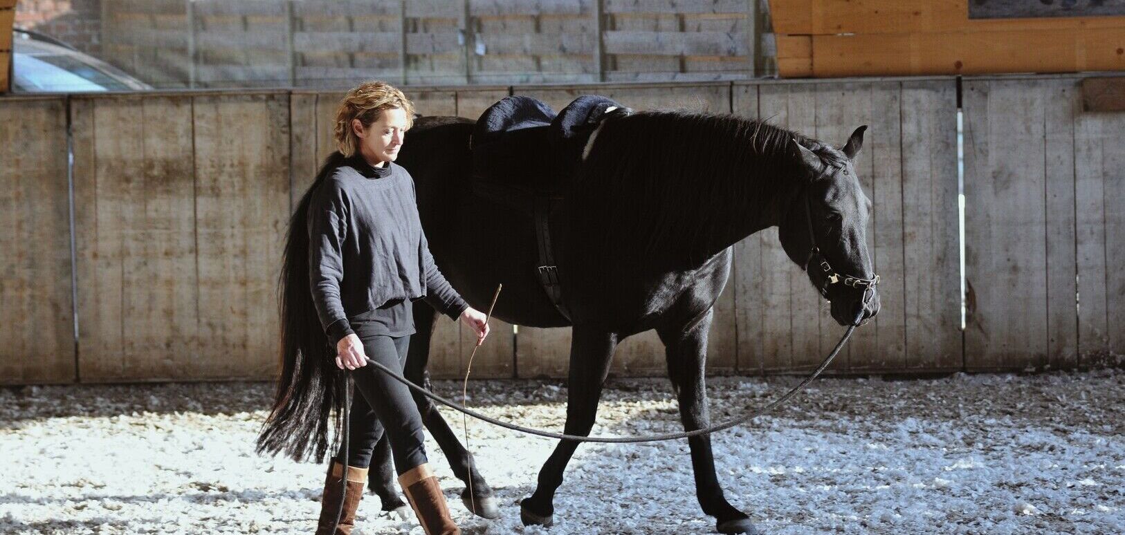 Leading and Circling [BASIC]