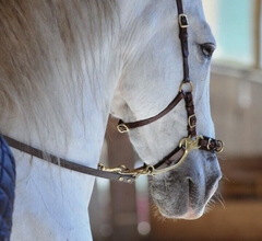 Cavemore bridle (round)