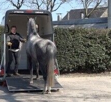 Trailer loading Education
