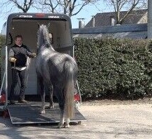 Trailer loading Education