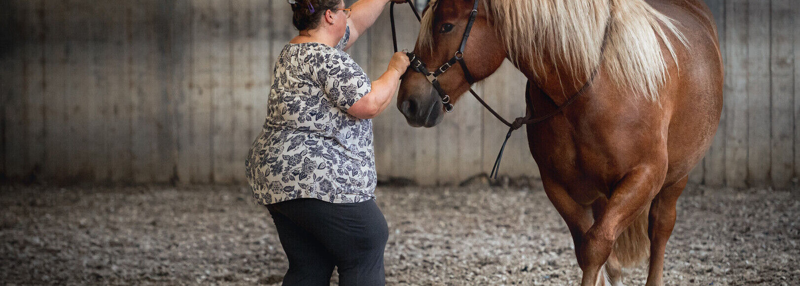 Day Clinic on the Bornehoeve as a RIDER 20-04-24