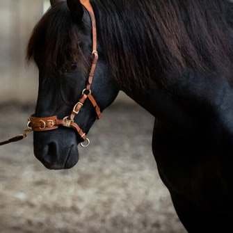 The Cavesal® and the reins in a NEW colour!   LIGHT BROWN