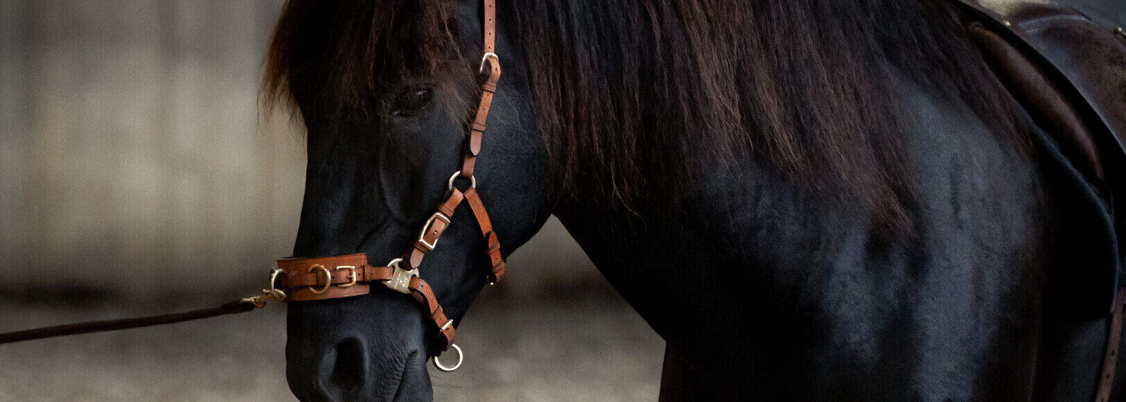 The Cavesal® and the reins in a NEW colour!   LIGHT BROWN