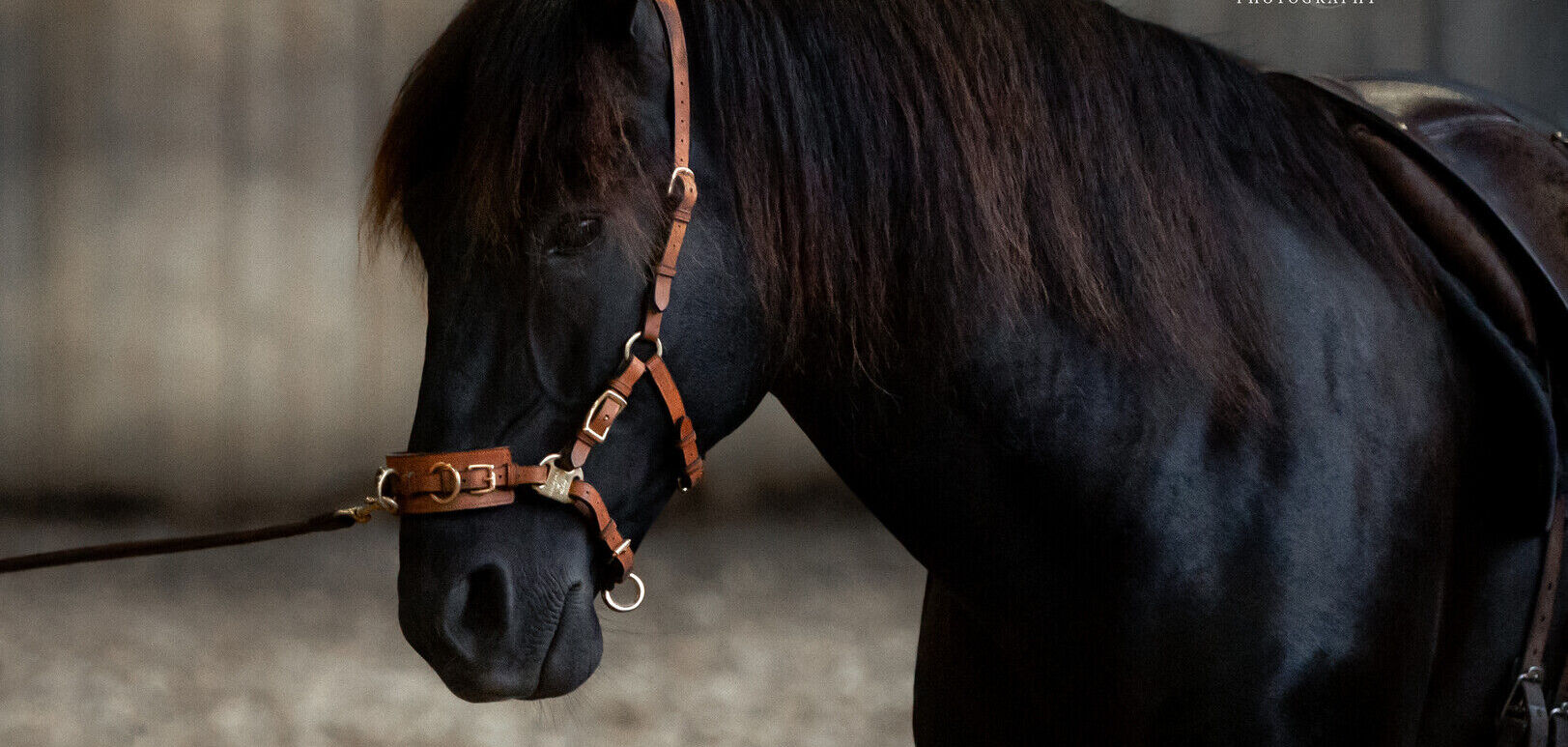 The Cavesal® and the reins in a NEW colour!   LIGHT BROWN
