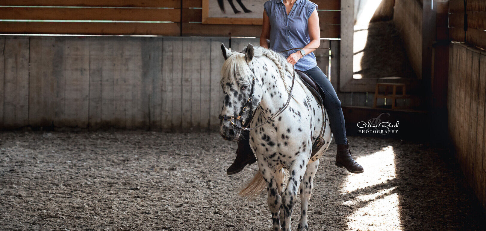 Day Clinic on the Bornehoeve as a RIDER 28-02-26
