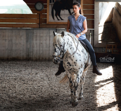 Day Clinic on the Bornehoeve as a RIDER 03-05-25