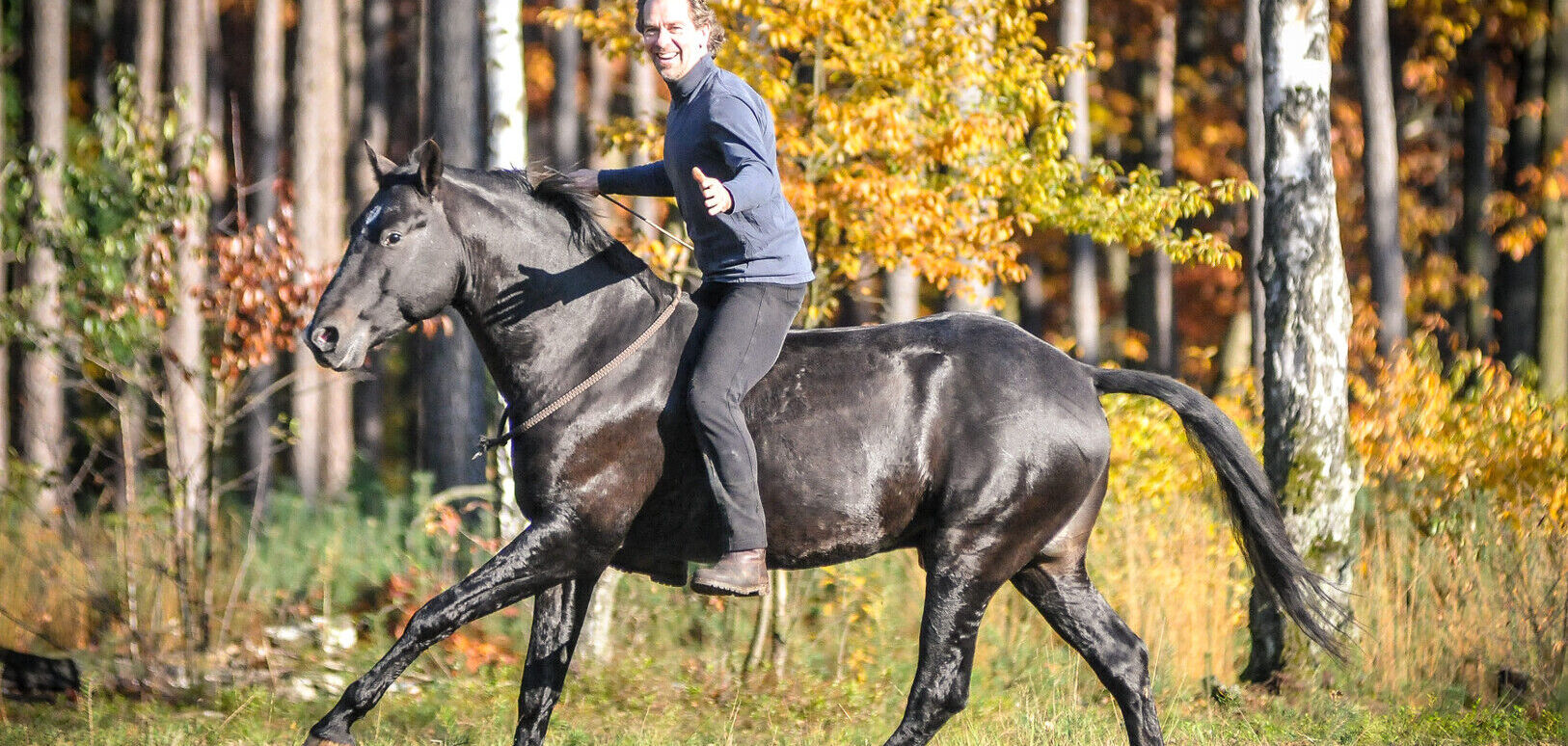 The bit doesn't control the horse, the connection does.