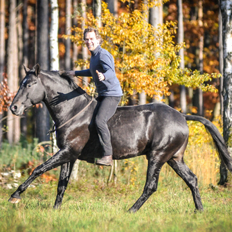 The bit doesn't control the horse, the connection does.