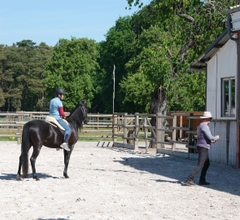 Day clinic on the Bornehoeve as a spectator 09-09-23