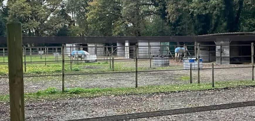 Mini Kempen workshop 30&31-05-26