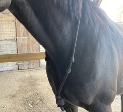 Handcrafted Lunging Neckrope
