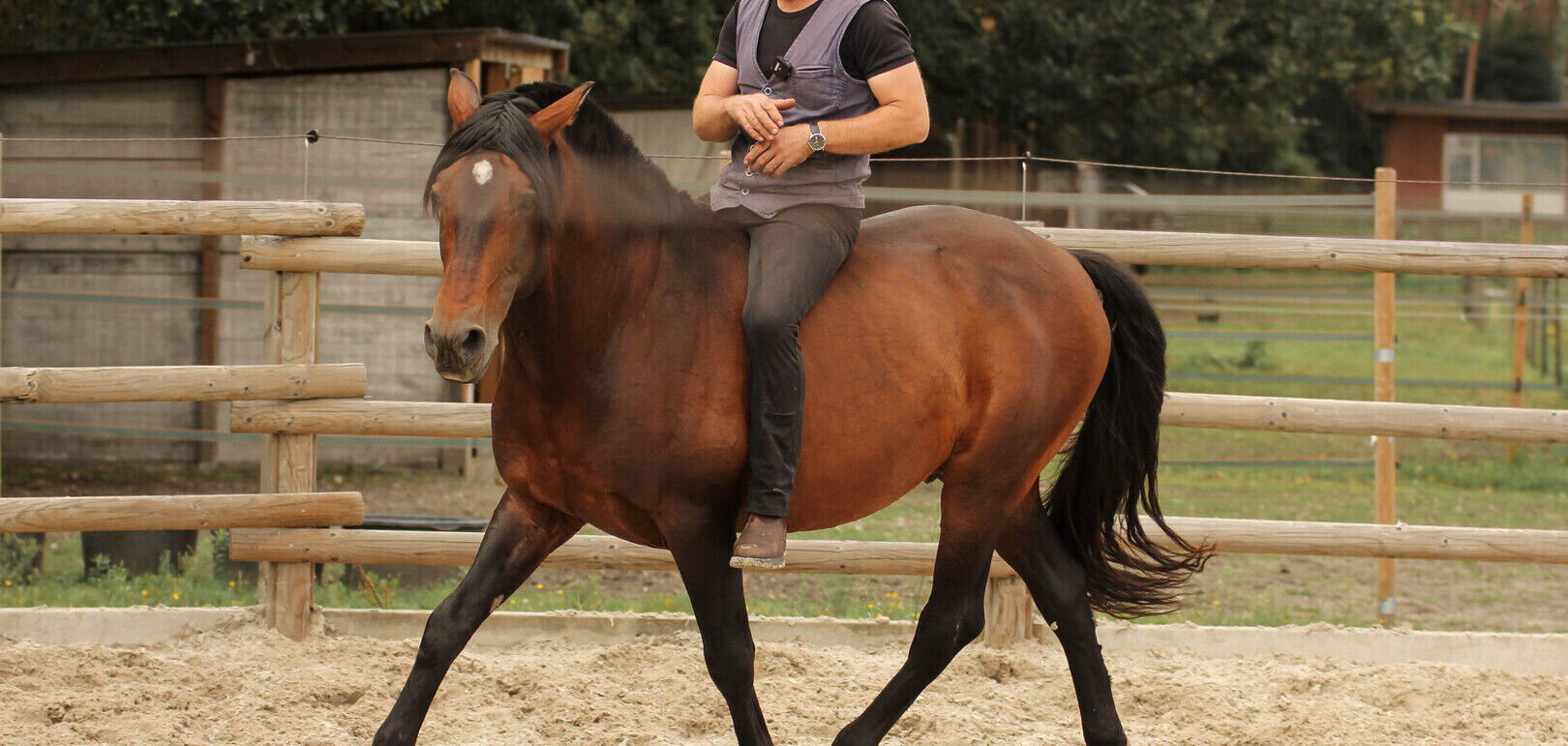 Basic Riding [PHYSICAL]