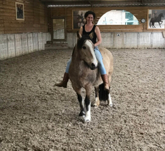 Day Clinic on the Bornehoeve as a RIDER 11-04-26