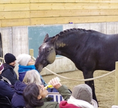 Open Training at the Bornehoeve