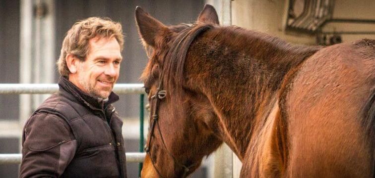 Specific Horse Education