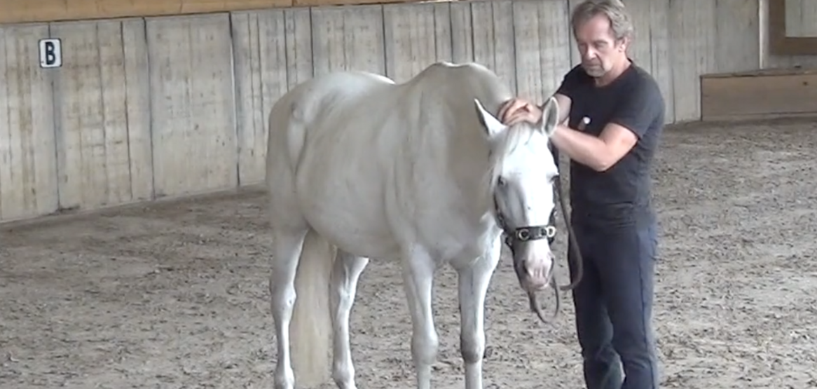 Physical Communication [BASIC]