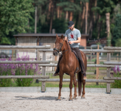 Day Clinic on the Bornehoeve as a rider 09-09-23 and 04-11-23