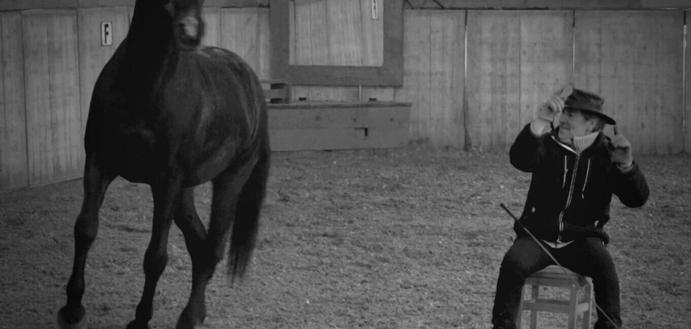 My once-in-a lifetime horse